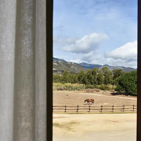 乐安福尔酒店 酒店