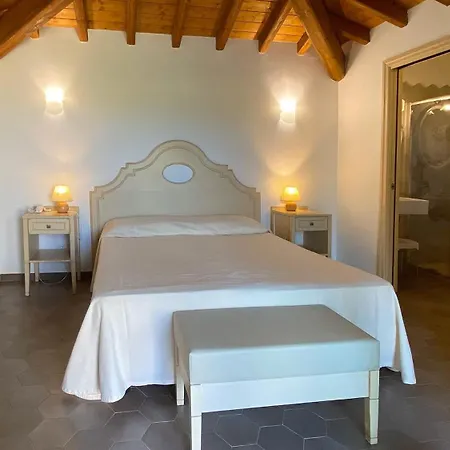 酒店 乐安福尔酒店