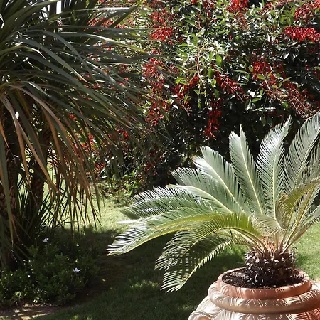 Hotell Le Anfore Villasimius