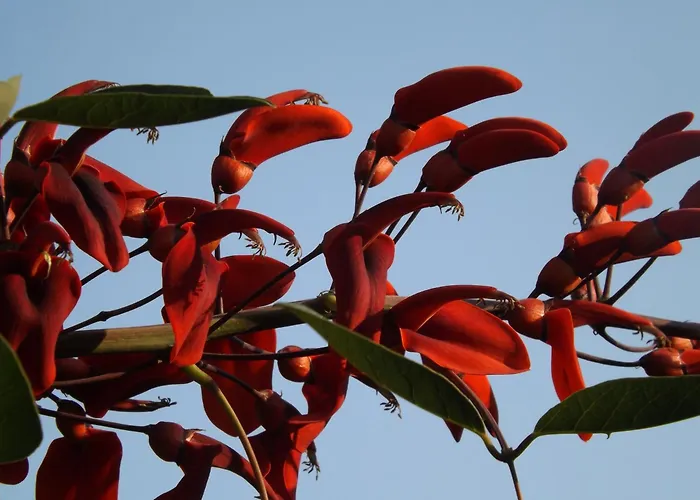 Le Anfore Villasimius